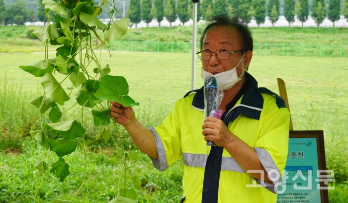 대표적 하천생태교란종 중 하나인 '가시박'에 대해 설명하는 권해원 대표.