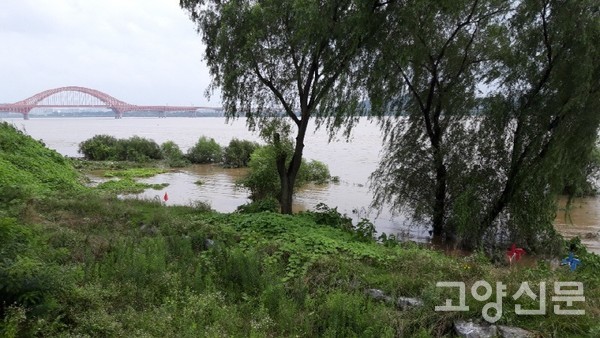 8월 4일 오후 행주산성역사공원 주차장에서 바라본 한강. 한강 수위가 올라가 공원 잔디밭 일부가 물에 잠겼다.  