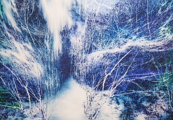 바람이 가는 길, oil on canvas, 182x227cm, 2020