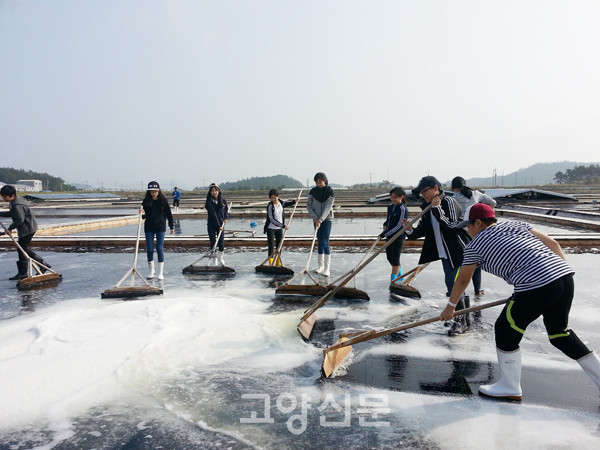 염전 현장체험 수업