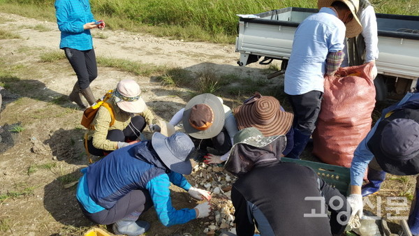 한강하구장항습지보전협의회 회원들이 쓰레기모니터링을 하고 있는 모습. 