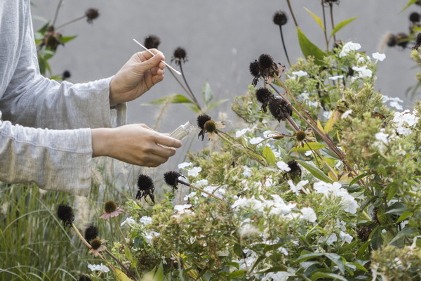김지수 '채집정원' [사진=블로메미술관]