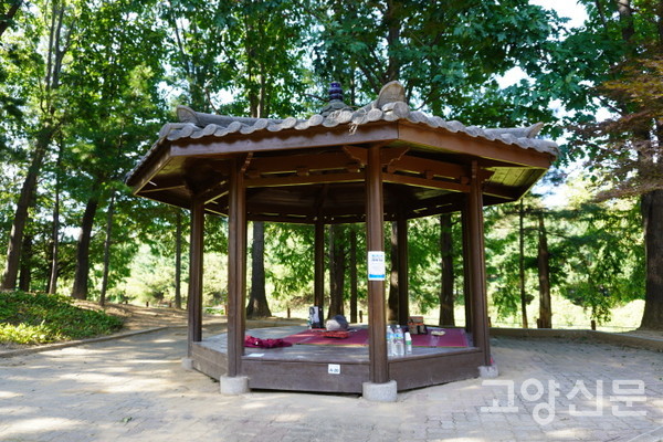 여러 명이 함께 이용하기에 좋은 피크닉 정자