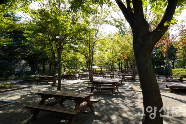 기본형 피크닉테이블이 배치된 피크닉장 B구역