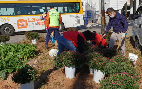 아름다운 꽃길 조성에 동참한 성사1동 관계자들이 꽃을 식재하고 있다.