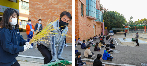 지도농협 관계자가 토당초교 학생들에게 벼 터는 방법을 알려주고 있다.