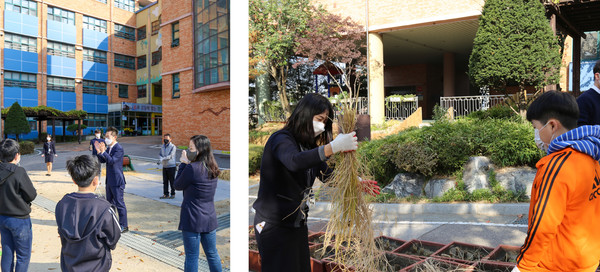 신기한듯 벼를 만져보고 소중히 다루는 학생들.