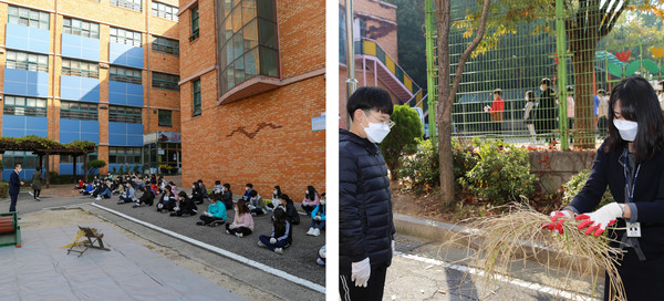  학생들은 전통 벼수확 체험에 큰 관심을 보였다.