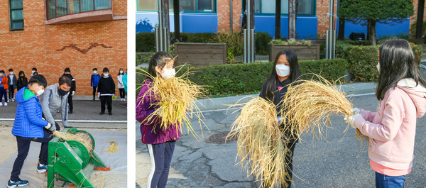 즐겁게 영농체험을 하고 있는 학생들.