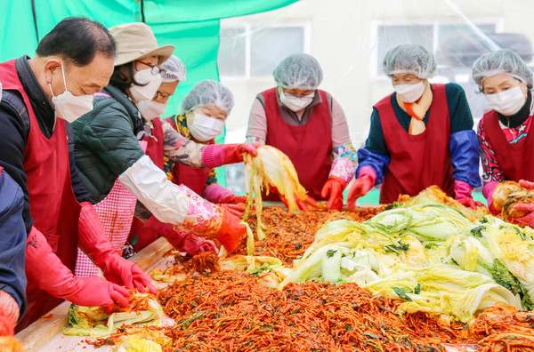 장순복 조합장이 고향주부모임 회원들과 김장을 하고 있다.