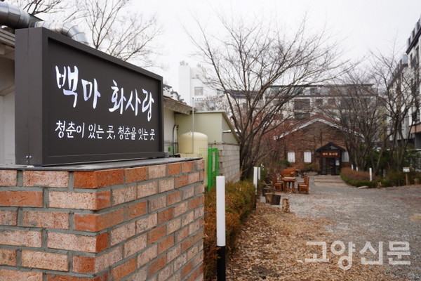 마당 입구에도 '백마 화사랑'이라는 거리 간판이 붙었다. 