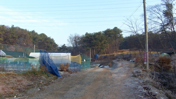 선유동 불미지마을 주민들이 희생된 것으로 추정되는 장소. [자료제공=신기철]