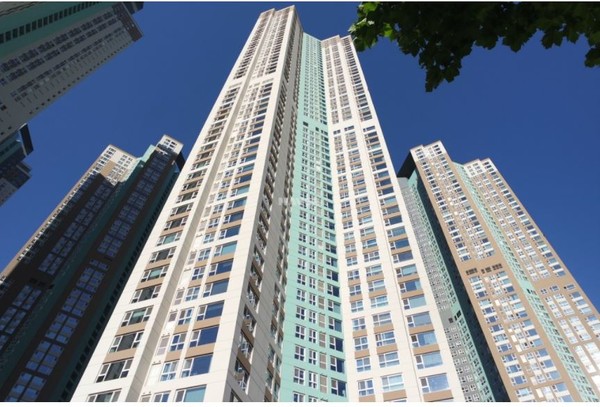 백석동 일산요진와이시티.