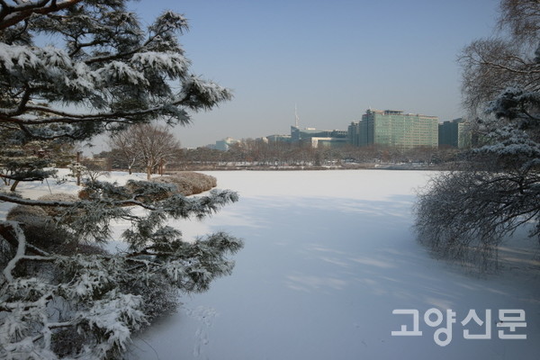 우리는 감시 네트워크 속에서 살아가면서도 감시에 무심하거나 자발적으로 협조하고 있다. 
