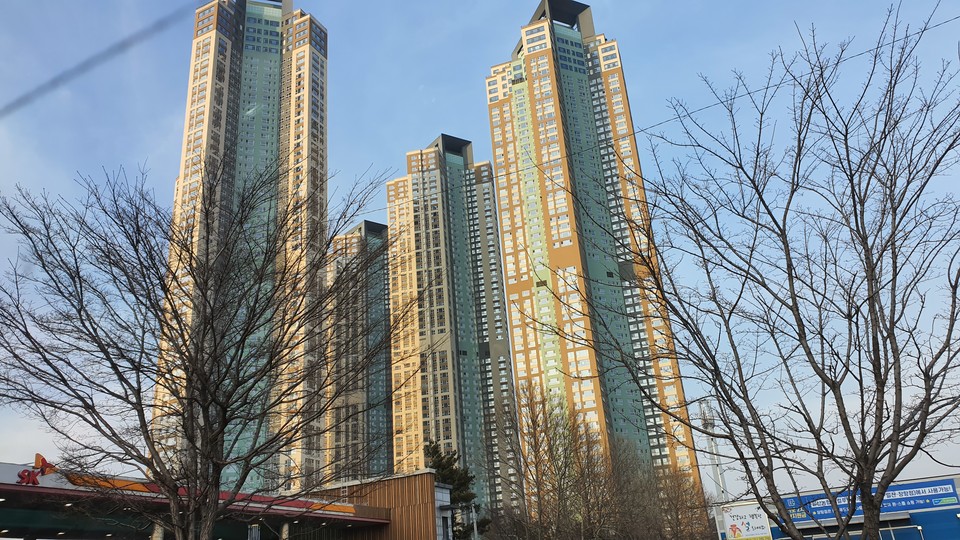백석동 일산요진와이시티(2404세대) 36평형 아파트는 2018년까지만 해도 거의 6억원대에 머물렀지만 2월 현재 10억원을 웃돌고 있다.