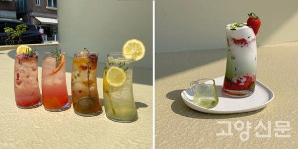 [이미지제공=보타니카 바이선리]