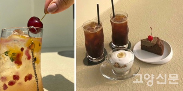 [이미지제공=보타니카 바이선리]