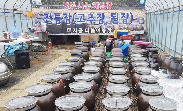  대자골 더불어농장에는 관산동 주민들이 담근 전통장 장독대가 가득했다.
