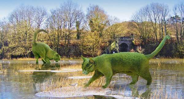 리차드 선더스의 토피어리 고양이 작품 [사진출처 : www.facebook.com/topiarycat]