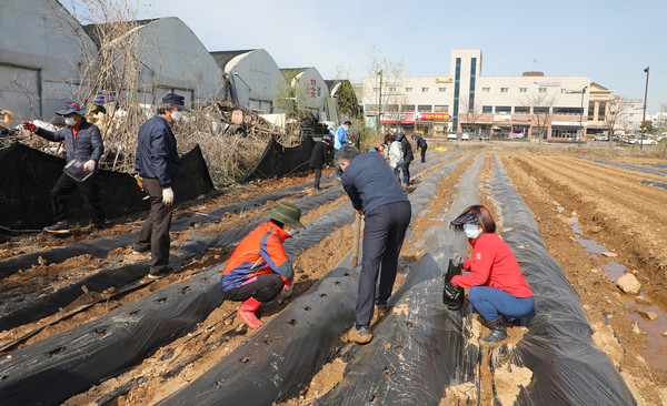 운동화에 진흙이 묻고 장화도 푹푹 빠졌지만 참석자들은 풍년을 기원하며 감자를 심었다.