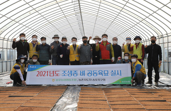 송포농협과 한국농촌지도자 송포지구회가 조생종벼 공동육묘를 진행했다.