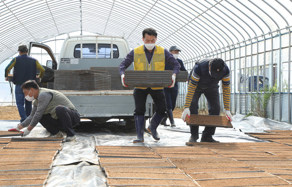 이날은 날씨가 더웠다. 농민들은 힘든줄도 모르고 모판을 날랐다.