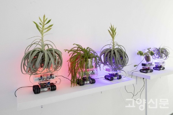 지역예술인 창작지원 선정작 '식물작품'(소수빈 작가) [사진제공=고양문화재단]