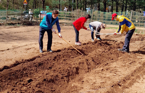  중산동 주민자치위원회가 나눔 텃밭에 모종을 심기 위해 밭을 고르고 있다.