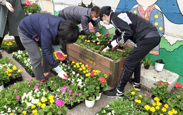 마을전용 화분 다다모에 초화류를 식재하고 있는 원신동 관계자들.