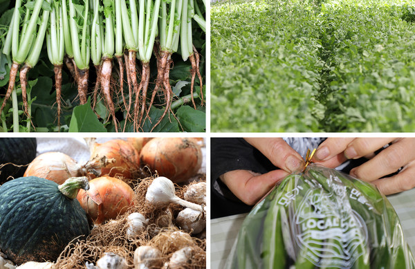 고양시에서 생산되는 다양한 친환경 농산물과 화훼가 주를 이루는 호수장터. 