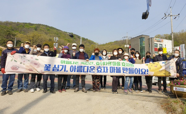 효자동 주민자치위원회가 아름다운 마을만들기 운동의 일환으로 피튜니아 2천본을 식재했다.