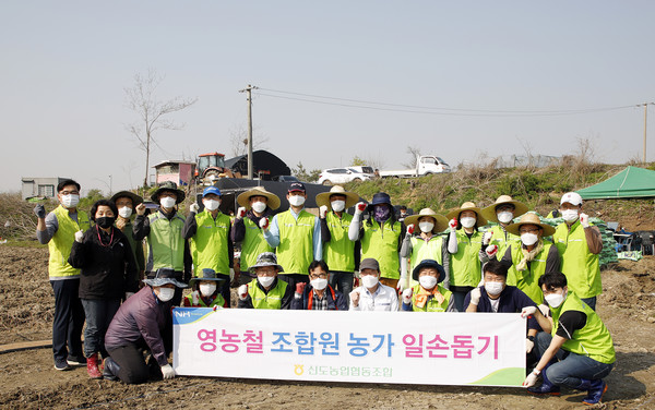 신도농협을 비롯한 농협중앙회와 농업경영인 화전지구회원들이 농촌일손돕기에 동참했다.