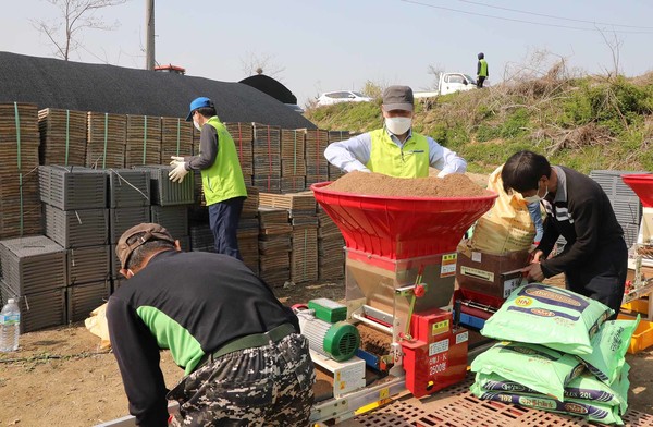 김한모 신도농협 조합장(가운데)이 농민들과 함깨 모판을 담고 있다.