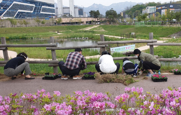 창릉동 통장협의회와 고양밥할머니보존위원회가 꽃심기에 참여해 마을분위기를 바꾸고 있다.