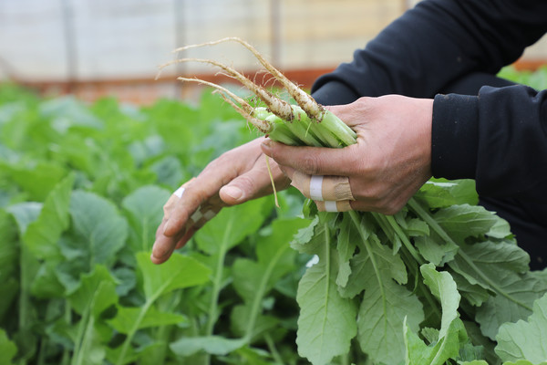 뭐하나 허투루 하는것이 없다. 이종철 회장은 모든건 정성이라고 말한다.