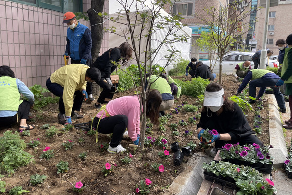 페튜니아 3천본을 식재한 정잘산동. 