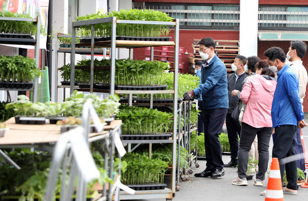 벽제농협 모종시장은 해가 갈수록 인기다. 박영선 조합장(왼쪽)도 직접 나와 고객의 모종을 나르고 있다.