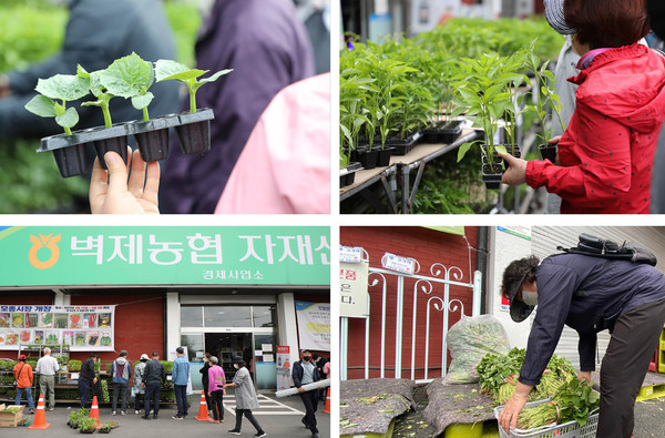 내 손에 모종을 놓지않는 고객들. 1년 동안의 농사나 마찬가지다.