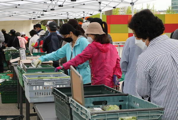 새벽장터에 주부들이 많은 관심을 보였다. 신선한 로컬푸드를 구입하기 위해 일찍 장터에 나왔다.