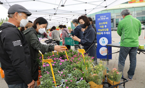 호수장터 초입에 마련된 미니 꽃시장. 새벽에 향기로운 꽃향기를 전했다.