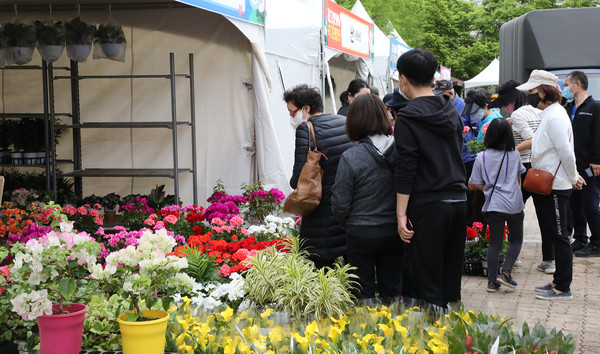 화훼 직거래장터에도 많은 시민들이 찾아와 농민들과 꽃에 대해 이야기를 나눴다.