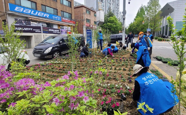 성사2동 주민자치위원회와 통장단이 마을가꾸기에 나서 페튜니아 3000본을 식재했다.