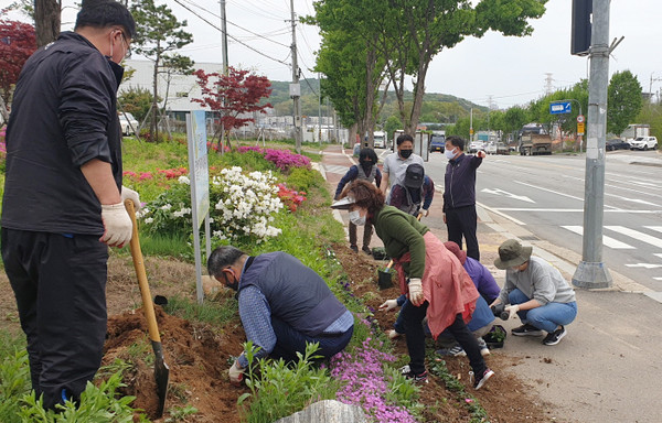 고봉동 주민자치위원회 주관으로 '아름다운 우리동네 꽃밭만들기'가 진행됐다.