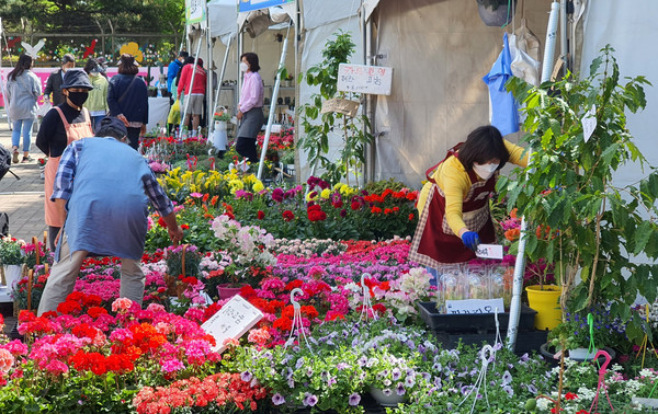 일산호수공원 고양화훼 직거래장터.