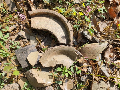 원흥동 고려 청자요에서 발견된 유물들. [사진 제공=이재준 역사학자]