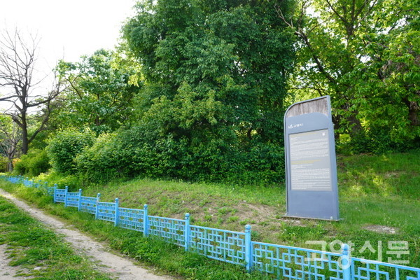 고양시 덕양구 원흥동 고려 청자요 유적지 모습. 