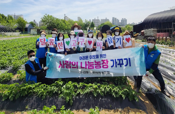 성사2동 주민자치위원회와 동 관계자들이 참석해 사랑의 나눔농장에서 고구마를 심었다.