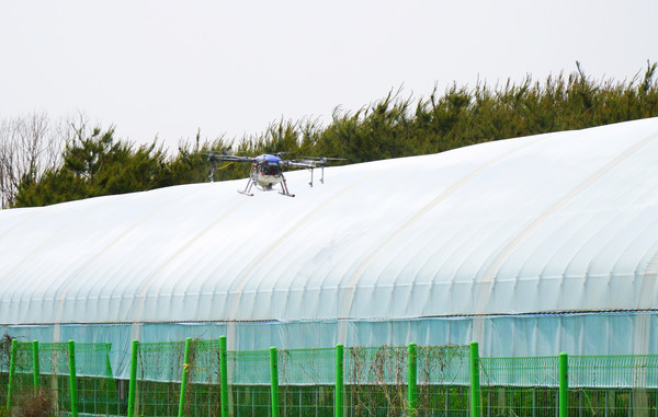 드론이  비닐하우스에 온실차광코팅제를 분사하고 있다.