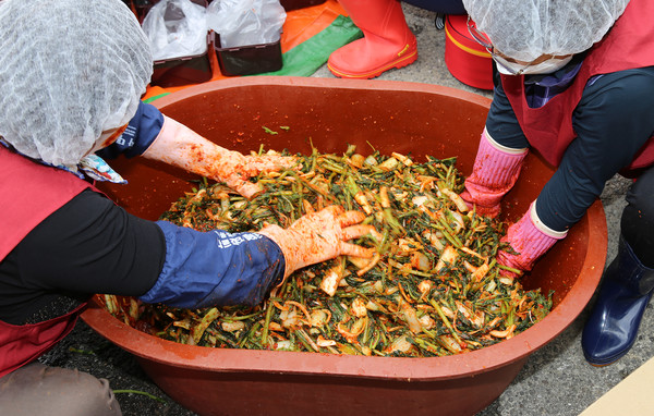 집 김치 담그는 정성가득한 열무김치는 지역의 7개동의 어려운 이웃에게 전달됐다.