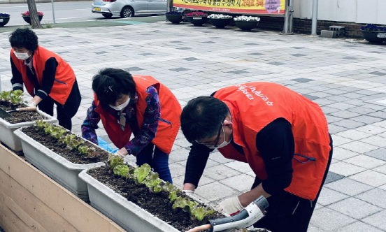 가와지 광장에 쌈채소를 심은 주민자치위원회 위원들. 이곳을 커뮤니티 공간으로 활용할 예정이다.